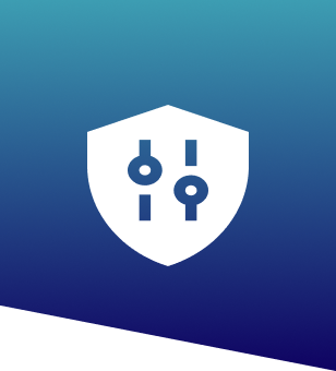 Security Strategy & Solutions